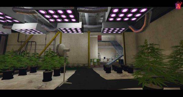 FiveM Weed Farm