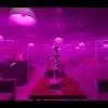 Hookah FiveM