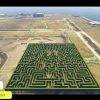 FiveM Labyrinth Arena