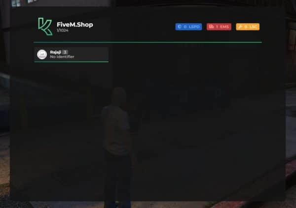 FiveM Menu Script