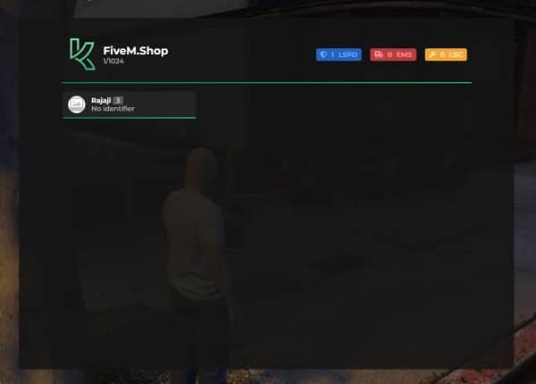 FiveM Menu Script